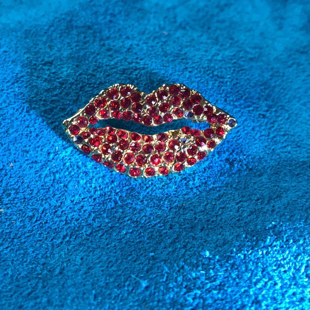 Vintage Lip Pin